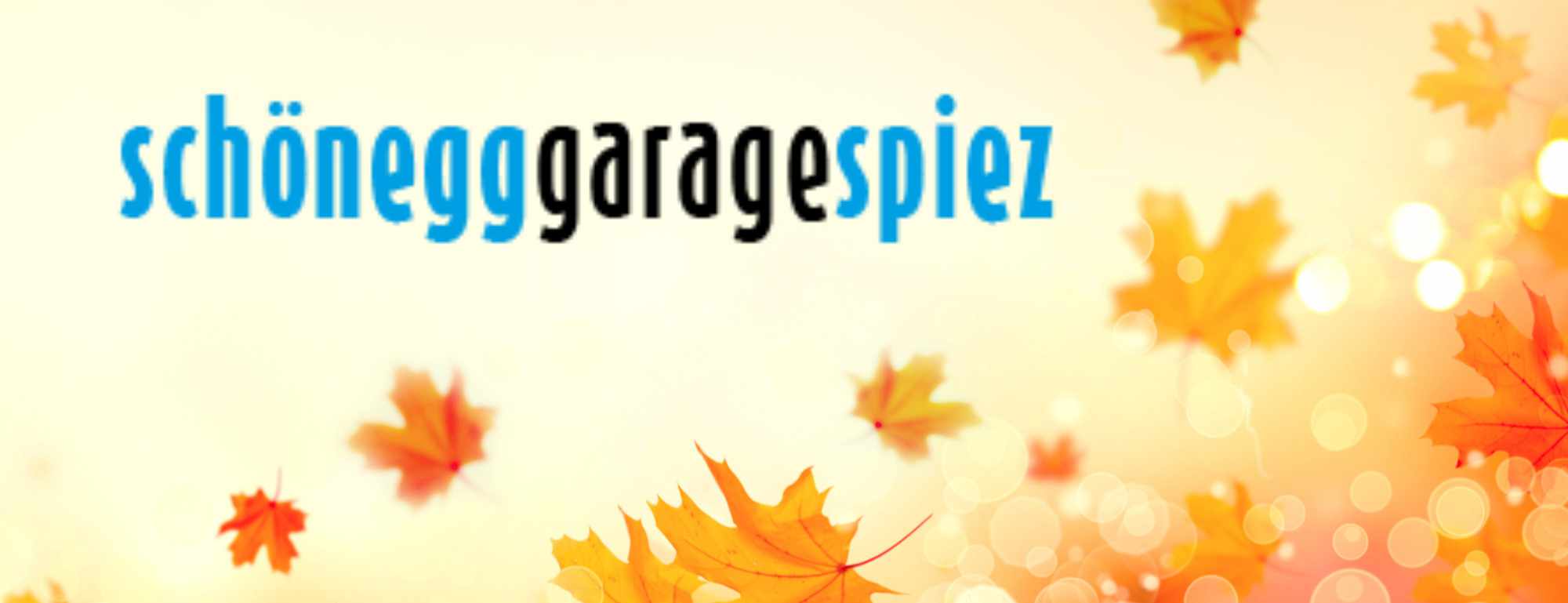 Schönegg-Garage Sommer Logo